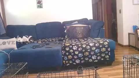 Mark online show from October 2025 02:45:02 PM