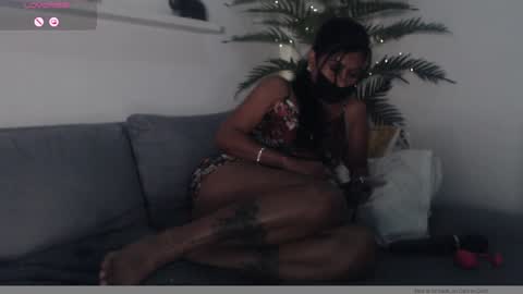 Snapshot of pussycash chatting on January 2025 11:36:02 AM POCCA online show from January 2025 11:36:02 AM