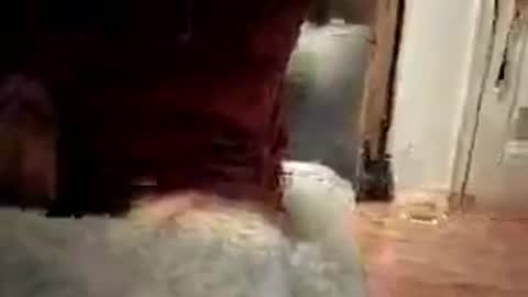 pussyfootjackson online show from July 2026 04:41:02 AM