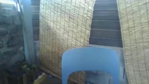 Python online show from March 2026 02:27:02 AM