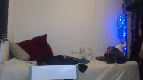 Snapshot of queennicky88 chatting on January 2025 12:52:02 AM Nico online show from January 2025 12:52:02 AM