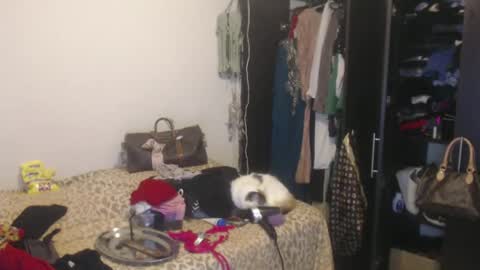 Snapshot of queennicky88 chatting on February 2025 04:00:02 AM Nico online show from February 2025 04:00:02 AM