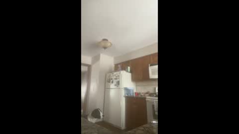 Snapshot of rabbi_poolnoodle chatting on January 2026 07:51:02 PM rabbi_poolnoodle online show from January 2026 07:51:02 PM