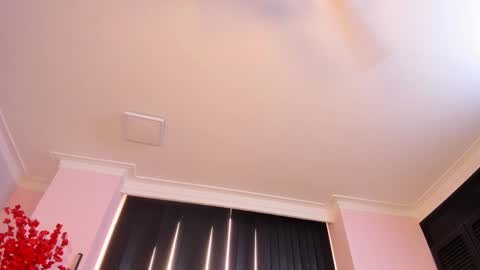 Rachel online show from December 2024 03:01:01 PM