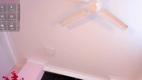 Rachel online show from January 2025 11:37:02 AM