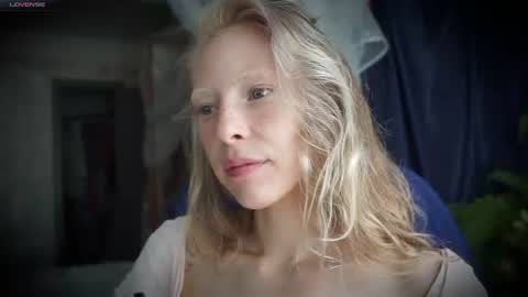 ada online show from August 2026 11:52:01 AM