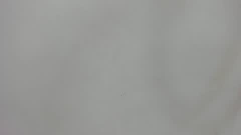 Snapshot of raf__koons chatting on July 2026 03:09:02 AM Raf Koons online show from July 2026 03:09:02 AM