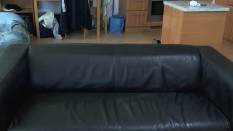 rafaelosteel online show from November 2025 01:07:02 AM