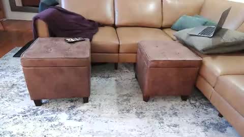 Snapshot of raffertynow chatting on February 2026 02:59:01 AM DressSock Shoe online show from February 2026 02:59:01 AM