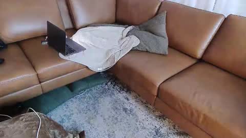 DressSock Shoe online show from May 2026 10:47:01 AM