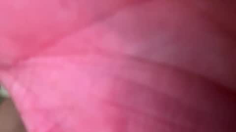 ragerd420 online show from February 2026 11:14:02 PM