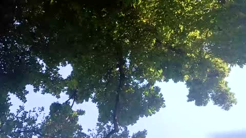 Snapshot of ragingzef69 chatting on February 2025 06:26:02 AM Bigthickdickinvic online show from February 2025 06:26:02 AM