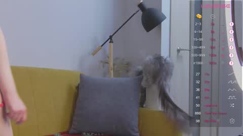 Mei online show from September 2025 03:10:01 AM