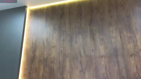 Snapshot of rainauge chatting on February 2025 10:29:02 PM Lisa online show from February 2025 10:29:02 PM