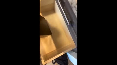 Snapshot of rainbow_randolf chatting on November 2025 07:57:01 PM Rainbow Randolf online show from November 2025 07:57:01 PM