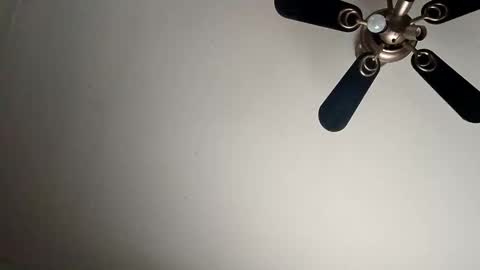 Snapshot of randallcody15 chatting on January 2025 09:11:02 PM randallcody15 online show from January 2025 09:11:02 PM