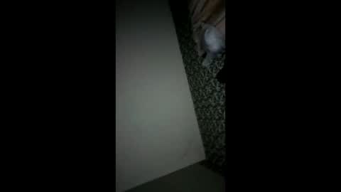 Snapshot of randallcody15 chatting on October 2025 11:24:02 PM randallcody15 online show from October 2025 11:24:02 PM