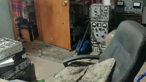 Randall online show from July 2026 07:52:02 PM