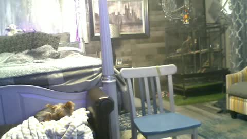 Randy8inbater online show from June 2026 02:03:01 AM