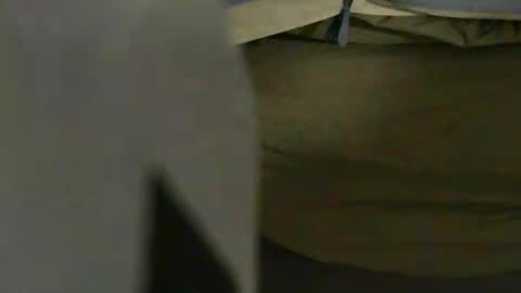 rangerdayz online show from July 2026 06:42:02 PM