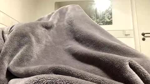 Snapshot of ranj00800 chatting on December 2025 05:19:02 PM ranj00800 online show from December 2025 05:19:02 PM