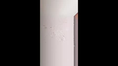 Snapshot of rara_molly chatting on February 2026 07:23:01 AM rara_molly online show from February 2026 07:23:01 AM