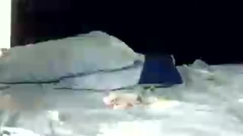 rara_molly online show from July 2026 06:04:02 AM