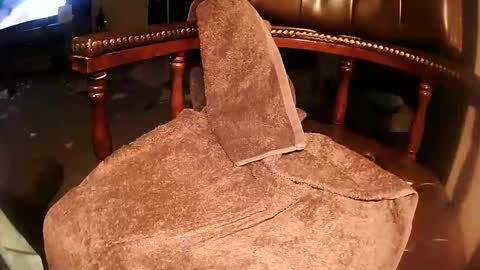 rarvet online show from March 2026 03:16:01 PM