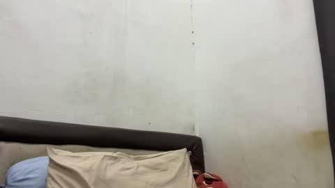 randomnaut online show from July 2026 02:13:01 PM