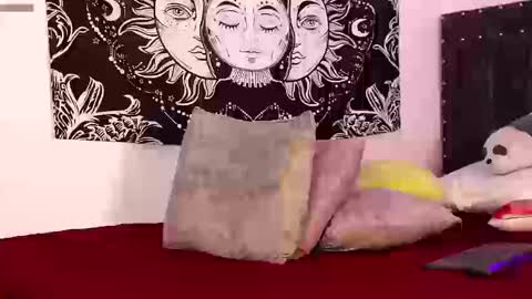 Raven online show from March 2026 11:11:01 PM