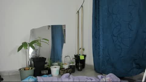 gata online show from March 2025 07:57:01 AM