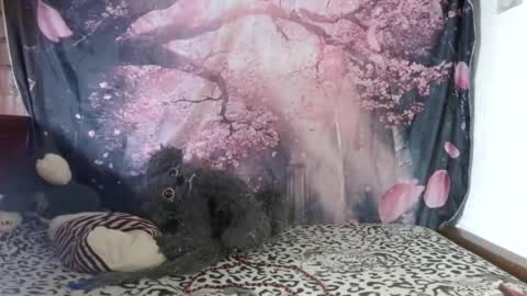 ravenlotus online show from June 2026 07:40:01 PM