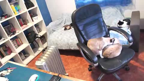 ravingr3d3 online show from January 2026 03:28:01 PM