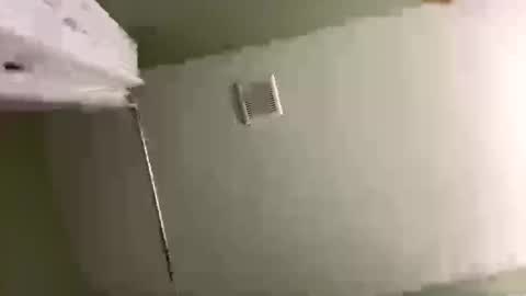 Snapshot of ravyn_xoxo chatting on December 2024 04:38:02 AM Ravynn 3 online show from December 2024 04:38:02 AM