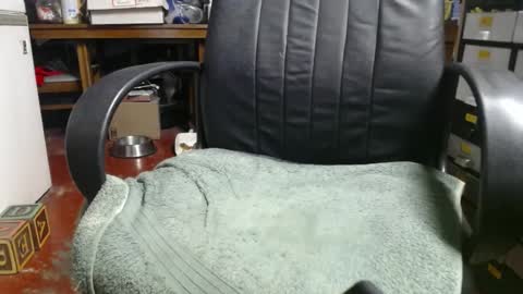 Ray online show from January 2025 04:07:01 AM