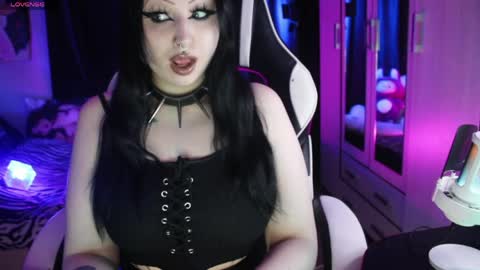 My kittensIm on vacation until July 25th. You can join the fan club  free content  online show from April 2026 06:35:01 PM