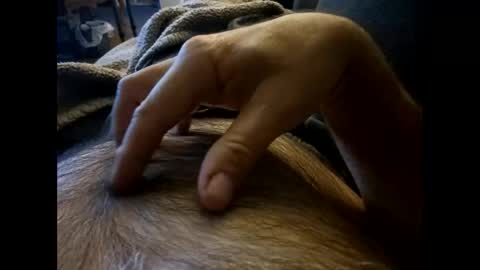 rdt2030 online show from December 2024 07:54:01 PM