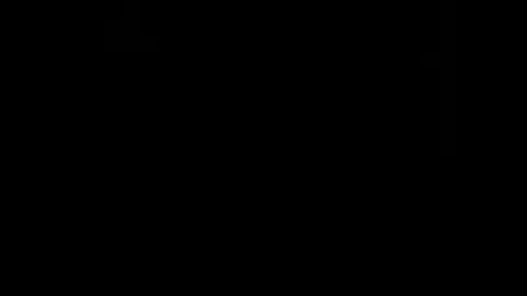 rdt2030 online show from December 2024 09:30:02 PM