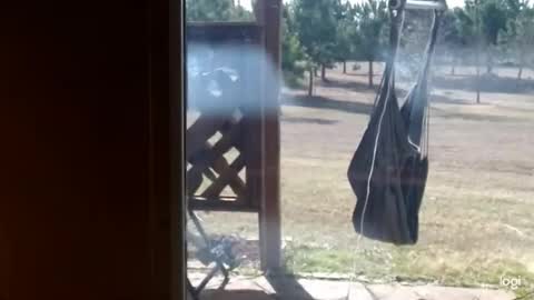 Snapshot of ready4aride2day chatting on February 2026 03:52:02 PM ready4aride2day online show from February 2026 03:52:02 PM