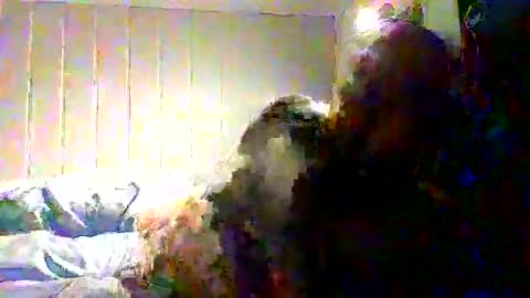 Snapshot of real_viking1 chatting on November 2025 08:13:01 AM real_viking1 online show from November 2025 08:13:01 AM