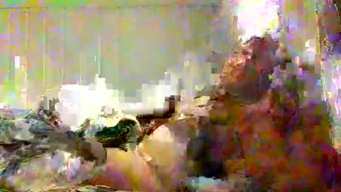 Snapshot of real_viking1 chatting on February 2026 05:49:02 PM real_viking1 online show from February 2026 05:49:02 PM