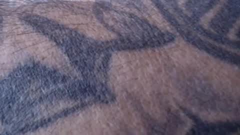 Snapshot of realrubpirate chatting on January 2025 09:02:02 AM realrubpirate online show from January 2025 09:02:02 AM