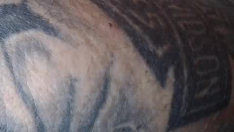 Snapshot of realrubpirate chatting on February 2025 07:49:02 AM realrubpirate online show from February 2025 07:49:02 AM