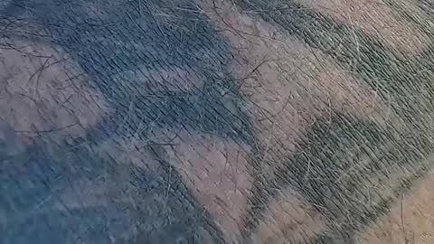 Snapshot of realrubpirate chatting on September 2025 09:31:01 AM realrubpirate online show from September 2025 09:31:01 AM