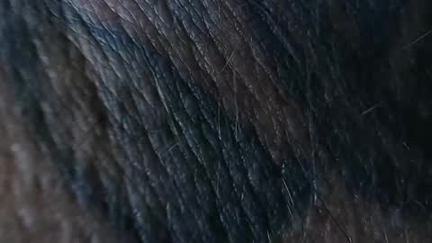 Snapshot of realrubpirate chatting on September 2025 08:51:02 AM realrubpirate online show from September 2025 08:51:02 AM