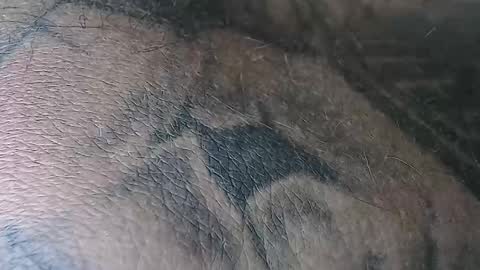 Snapshot of realrubpirate chatting on November 2025 06:38:02 AM realrubpirate online show from November 2025 06:38:02 AM