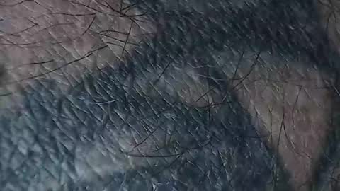 realrubpirate online show from March 2026 08:50:01 AM