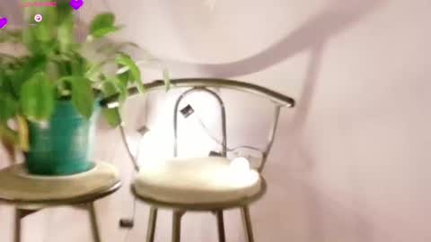 rebeccawhite_meow online show from June 2026 02:53:01 AM