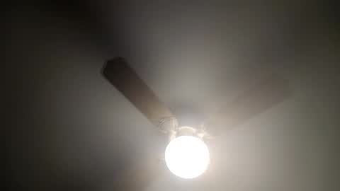 Snapshot of red24devils chatting on February 2025 04:26:01 AM red24devils online show from February 2025 04:26:01 AM