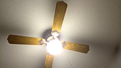 Snapshot of red24devils chatting on September 2025 12:11:01 AM red24devils online show from September 2025 12:11:01 AM